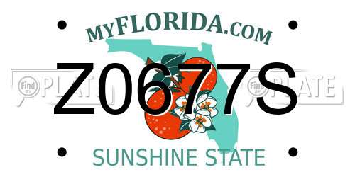 Z0677S Florida License Plate