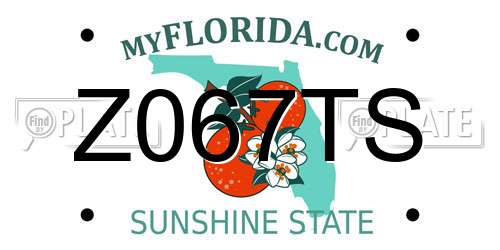 Z067TS Florida License Plate