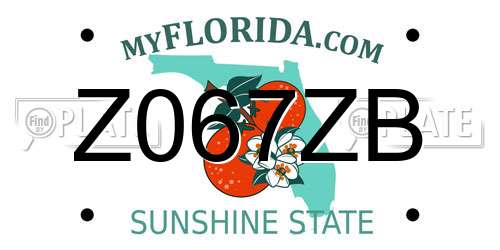 Z067ZB Florida License Plate