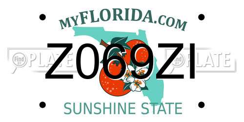 Z069ZI Florida License Plate