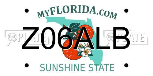 Z06ALB Florida License Plate