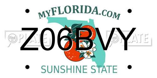 Z06BVY Florida License Plate