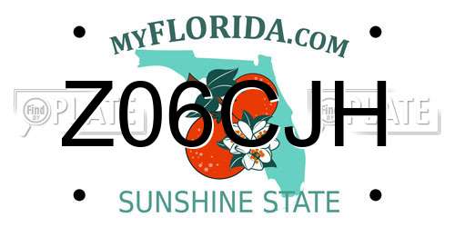 Z06CJH Florida License Plate