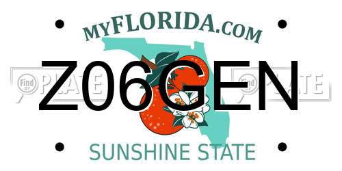 Z06GEN Florida License Plate