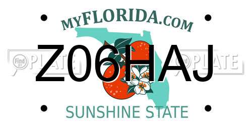 Z06HAJ Florida License Plate