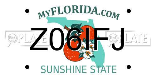 Z06IFJ Florida License Plate