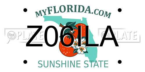 Z06ILA Florida License Plate
