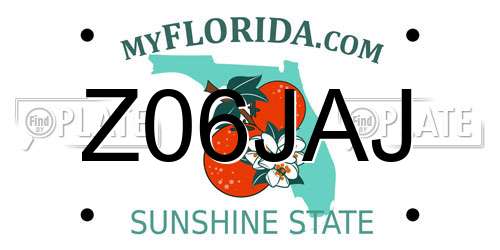 Z06JAJ Florida License Plate