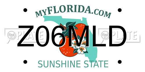 Z06MLD Florida License Plate