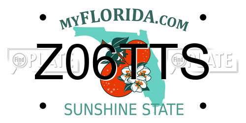 Z06TTS Florida License Plate