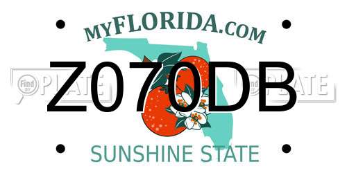 Z070DB Florida License Plate