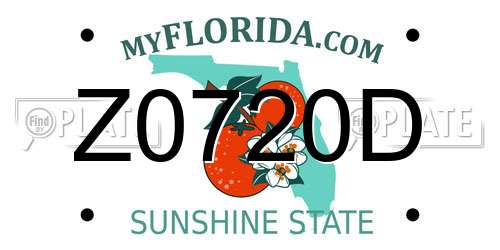 Z0720D Florida License Plate