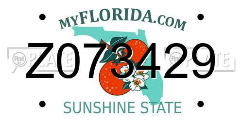 Z073429 Florida License Plate