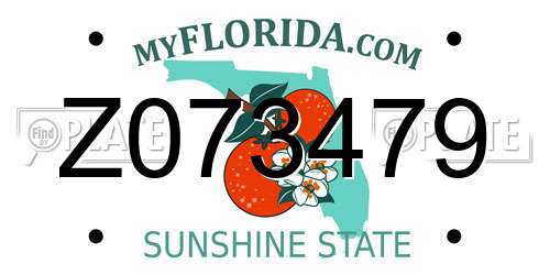 Z073479 Florida License Plate