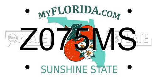 Z075MS Florida License Plate