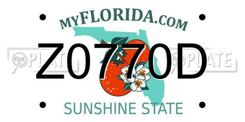 Z0770D Florida License Plate
