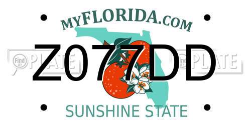 Z077DD Florida License Plate