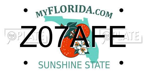 Z07AFE Florida License Plate