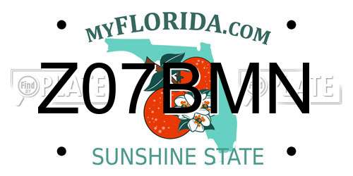 Z07BMN Florida License Plate