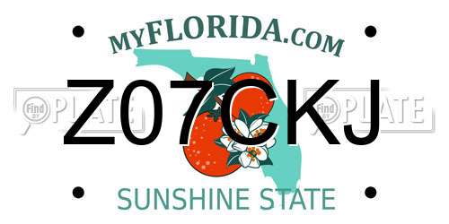 Z07CKJ Florida License Plate
