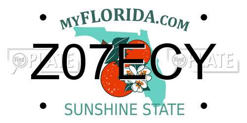 Z07ECY Florida License Plate