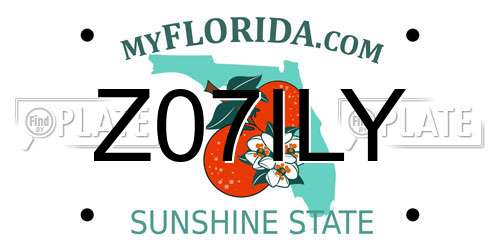 Z07ILY Florida License Plate