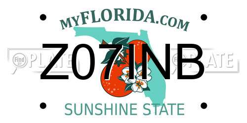 Z07INB Florida License Plate