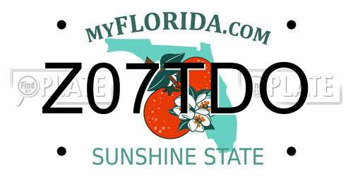 Z07TDO Florida License Plate