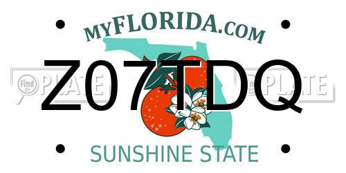 Z07TDQ Florida License Plate