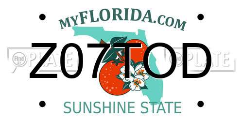 Z07TOD Florida License Plate