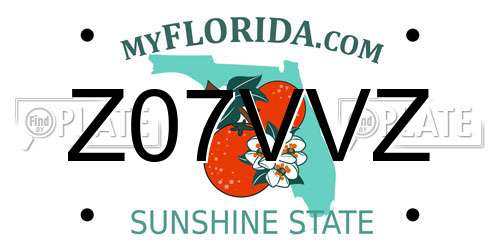 Z07VVZ Florida License Plate