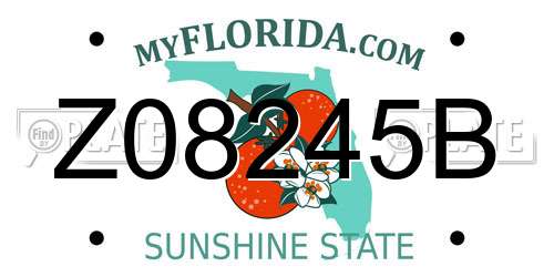 Z08245B Florida License Plate