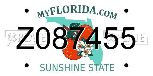 Z087455 Florida License Plate