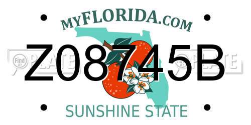 Z08745B Florida License Plate