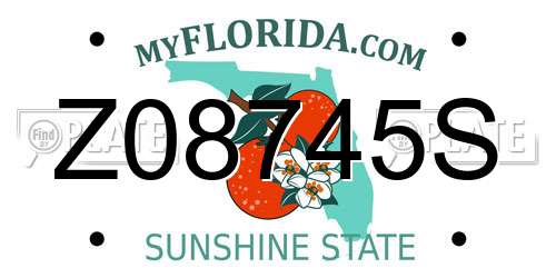 Z08745S Florida License Plate