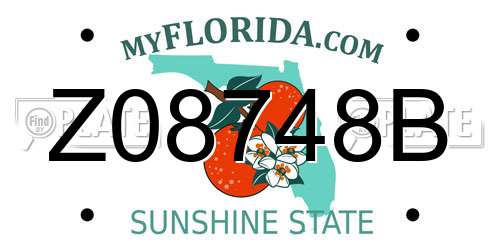 Z08748B Florida License Plate
