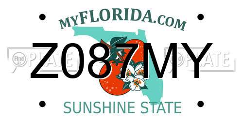 Z087MY Florida License Plate