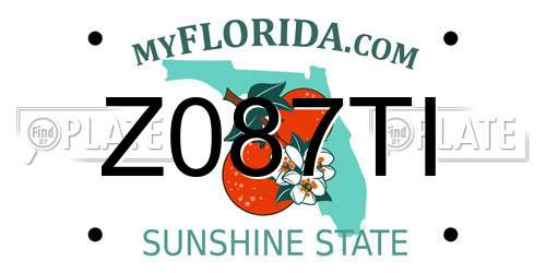 Z087TI Florida License Plate
