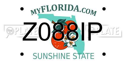 Z088IP Florida License Plate