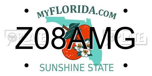 Z08AMG Florida License Plate