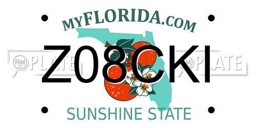 Z08CKI Florida License Plate