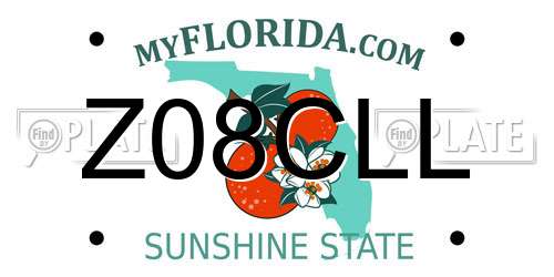 Z08CLL Florida License Plate