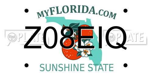 Z08EIQ Florida License Plate