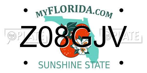 Z08GJV Florida License Plate