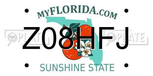 Z08HFJ Florida License Plate