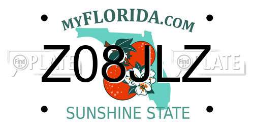 Z08JLZ Florida License Plate