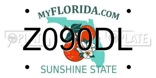 Z090DL Florida License Plate
