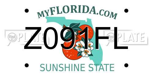 Z091FL Florida License Plate