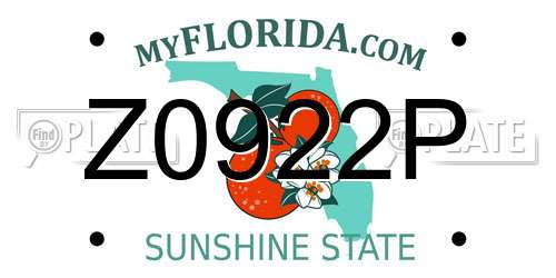 Z0922P Florida License Plate
