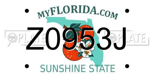 Z0953J Florida License Plate